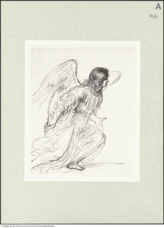 Vorderseite von bh469126_recto