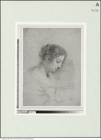 Vorderseite von bh469129_recto