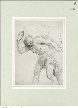 Vorderseite von bh469134_recto