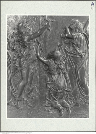 Vorderseite von bh469205_recto