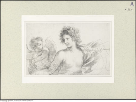 Vorderseite von bh469318_recto