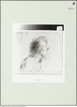 Vorderseite von bh469345_recto