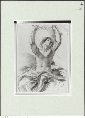 Vorderseite von bh469358_recto