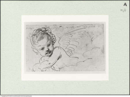 Vorderseite von bh469370_recto