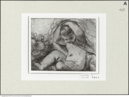 Vorderseite von bh469738_recto