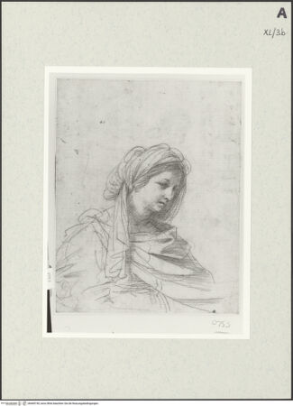 Vorderseite von bh469740_recto