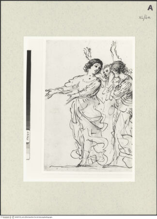 Vorderseite von bh469743_recto