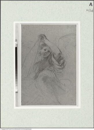 Vorderseite von bh469799_recto