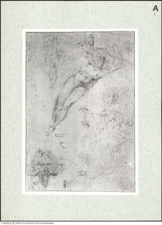 Vorderseite von bh469847_recto