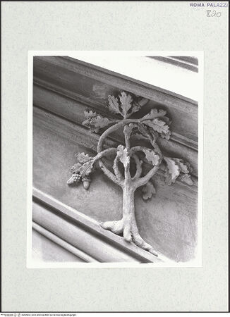 Vorderseite von bh469893_recto