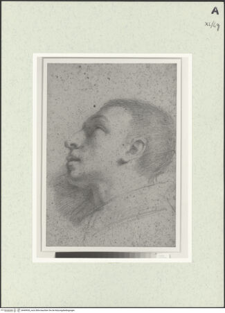 Vorderseite von bh469930_recto