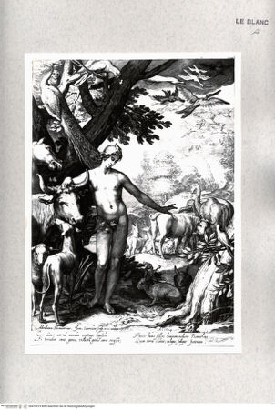 Vorderseite von bh470019