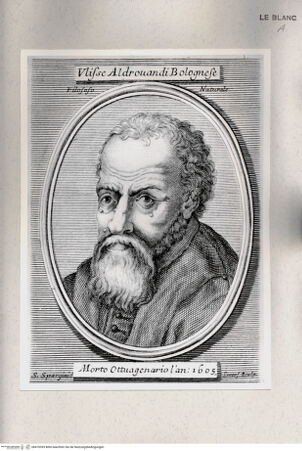 Vorderseite von Istituto Nazionale per la Grafica [http://creativecommons.org/publicdomain/mark/1.0/] Bildnis des Philosophen Ulisse Aldrovandi - , bh470393. Foto.