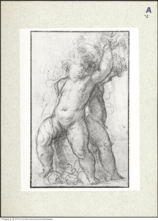 Vorderseite von bh471076_recto