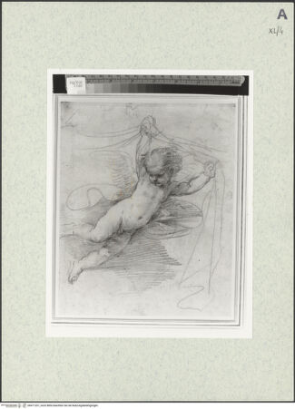 Vorderseite von bh471207_recto