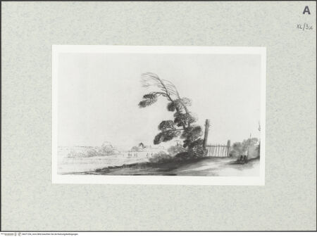 Vorderseite von bh471236_recto