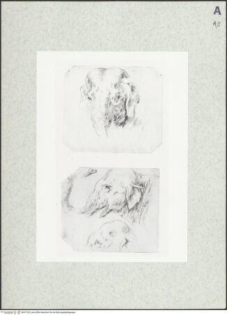 Vorderseite von bh471292_recto