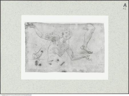 Vorderseite von bh471295_recto