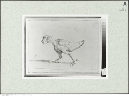 Vorderseite von bh471317_recto