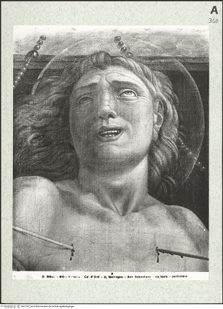 Vorderseite von bh471707_recto