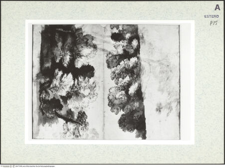 Vorderseite von bh471848_recto