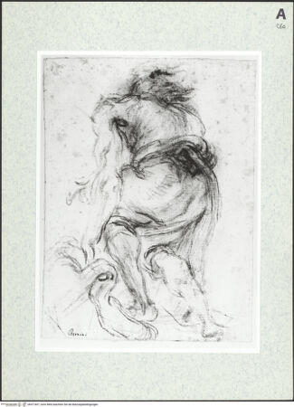 Vorderseite von bh471857_recto