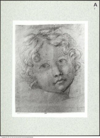 Vorderseite von bh471863_recto