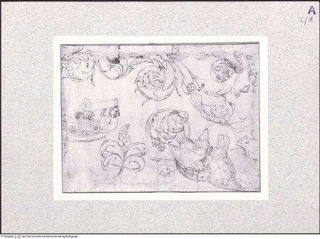 Vorderseite von bh471962_recto