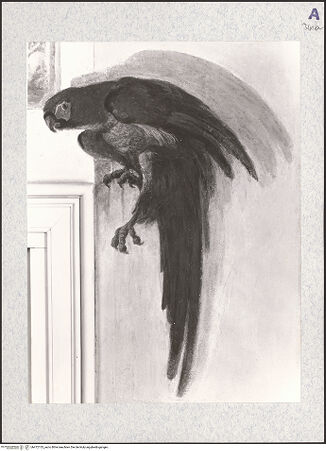 Vorderseite von bh472133_recto