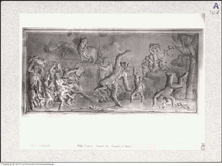 Vorderseite von bh472151_recto