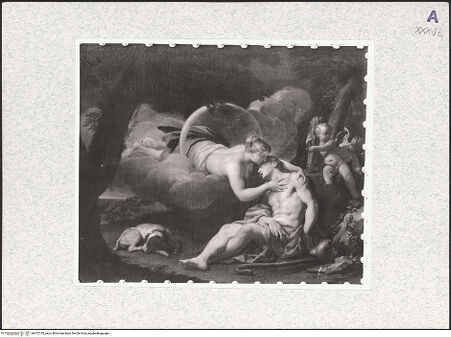 Vorderseite von bh472195_recto