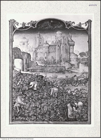 Vorderseite von bh472614_recto