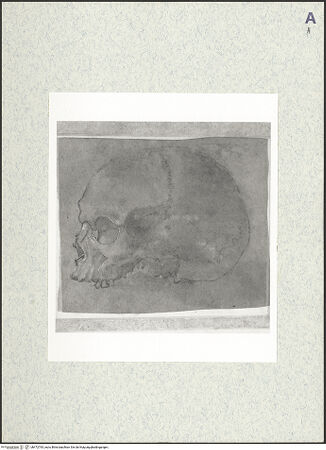 Vorderseite von bh472765_recto