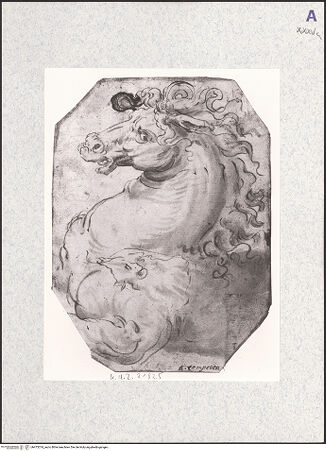 Vorderseite von bh473374_recto