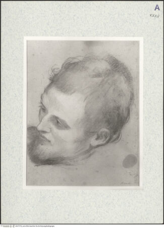 Vorderseite von bh473732_recto