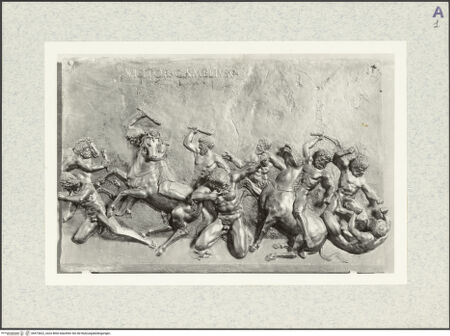 Vorderseite von bh473822_recto