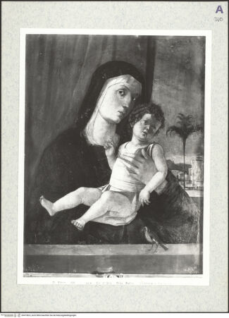 Vorderseite von bh473823_recto