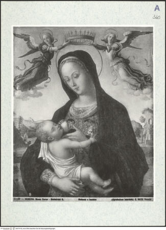 Vorderseite von bh474193_recto