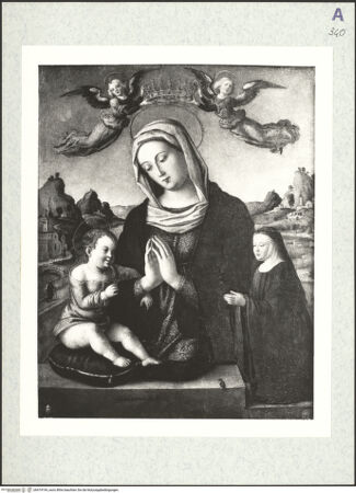 Vorderseite von bh474194_recto