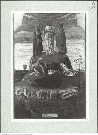 Vorderseite von bh474195_recto