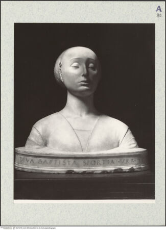 Vorderseite von bh474359_recto