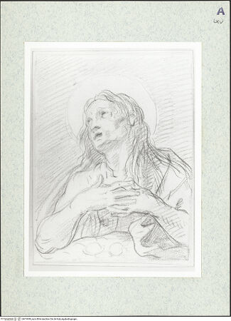 Vorderseite von bh474499_recto