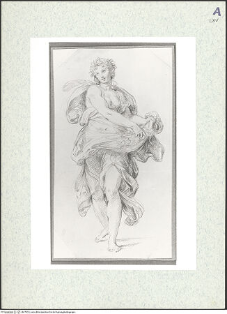 Vorderseite von bh474512_recto