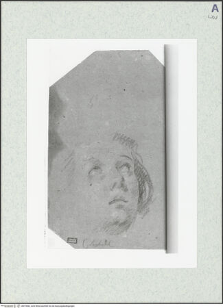 Vorderseite von bh474583_recto