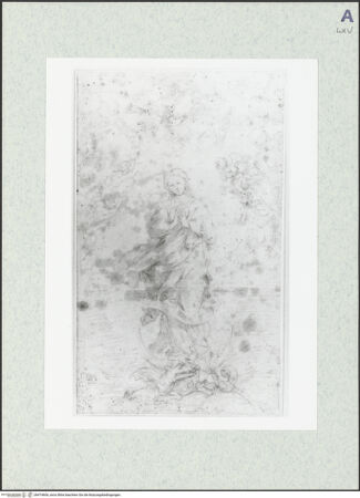 Vorderseite von bh474606_recto