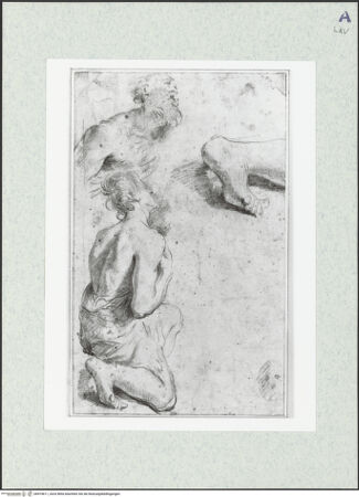 Vorderseite von bh474611_recto