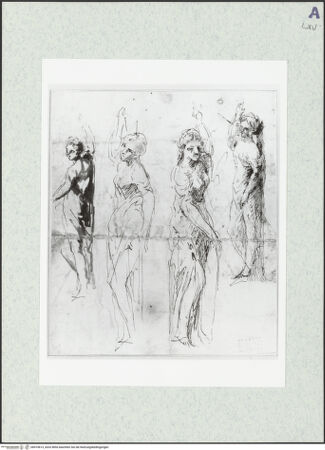 Vorderseite von bh474613_recto