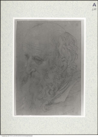 Vorderseite von bh474615_recto