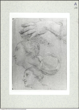 Vorderseite von bh474629_recto