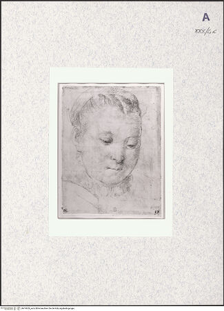 Vorderseite von bh474639_recto